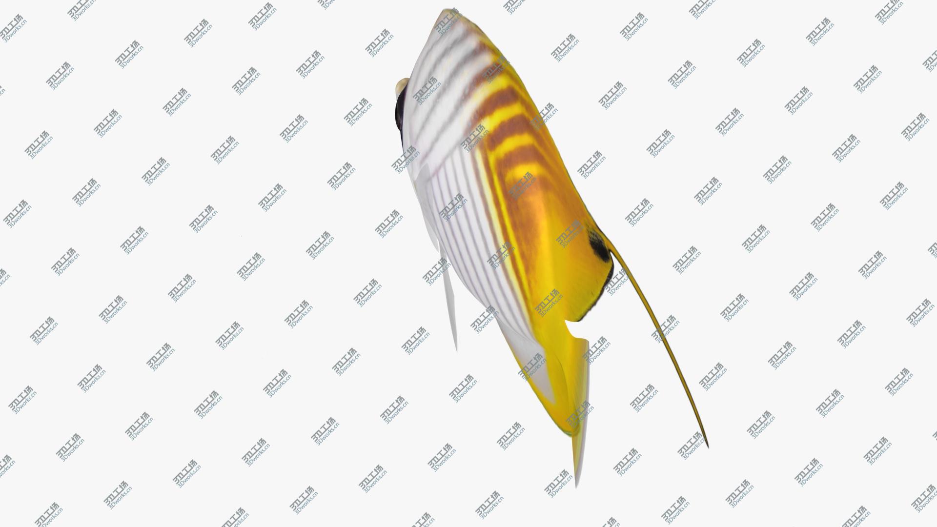 images/goods_img/202105074/3D Threadfin Butterflyfish Animated/3.jpg